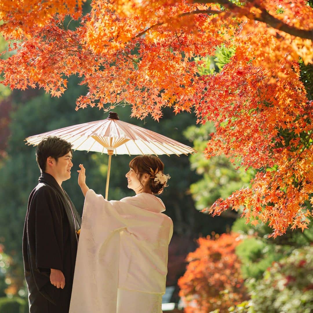 studioTVB梅田店のインスタグラム：「紅葉シーズン予約受付中🍁 空きわずかとなってきました。 今年の秋撮影をお考えの方はお早めに★ ・ ・ スタジオ＋ロケプランの組み合わせで 7万円オフのキャンペーンあり🙆‍♀️ ・ ・ ・ photo @kei.deco.ph  ・ ・ hairmake risa.yamanaka ・ @studiotvb_umeda @decollte_weddingphoto @d_weddingphoto_jp ・ ・ ・ ・ ・ ・ ・ 共に働くフォトグラファー・ヘアメイク・プランナー、 募集中です。 @decollte_recruit ・ ・ ・ #撮る結婚式 #デコルテフォト #スタジオTVB #studiotvb #スタジオTVB梅田 #studiotvb梅田 #ウェディングフォト #フォトウェディング #ナチュラルウェディング #ドレス試着 #エンゲージメントフォト #前撮り #大阪前撮り #関西プレ花嫁 #和装前撮り #洋装前撮り #プレ花嫁 #おしゃれ花嫁 #結婚式準備 #全国のプレ花嫁さんと繋がりたい #プレ花嫁さんと繋がりたい #日本中のプレ花嫁さんと繋がりたい #幸せな瞬間をもっと世界に #cherish_photo_days #2023冬婚 #2023秋婚 #ウエディングフォトの日」