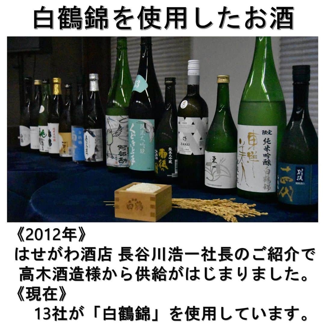 白鶴酒造株式会社さんのインスタグラム写真 - (白鶴酒造株式会社Instagram)「🌾 【「#白鶴錦蔵元の集い」開催】 本日、独自開発酒米「#白鶴錦」を 使用いただいている蔵元・杜氏にお集まりいただき 「白鶴錦 蔵元の集い2023」を開催しました。 今年は久しぶりに白鶴の東京支社での開催です。  2007年に品種登録された 「#山田錦」の兄弟品種「白鶴錦」は その優れた品種特性が知られるところとなり、 2012年に、はせがわ酒店の長谷川浩一社長の ご紹介により高木酒造様の1蔵から 供給がはじまりました。 年々その輪が広がり、 現在は全国13の酒蔵で使用されています  このたび、これらの酒蔵のうち 9社が当社で、2社がオンラインで参加する、 ハイブリッド形式での 情報共有と意見交換を行いました。 ・各蔵からの近況報告 ・2023年の白鶴錦の栽培状況 ・2022年度の醸造結果 ・きき酒結果  今後も、「白鶴錦」が偉大な兄「山田錦」に 肩を並べることができるよう、 そして、みなさまに美味しいお酒をお届けできるよう、 生産者様、使用酒蔵様、関係者様にもご協力をいただきながら、 さらなる酒米品質の向上と酒質の向上に取り組んでまいります。  #白鶴 #日本酒 #hakutsuru #japan」9月15日 16時56分 - hakutsuru_official