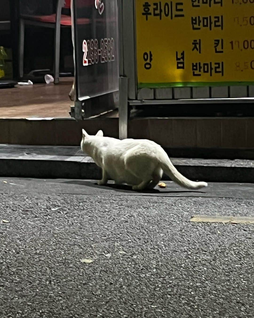 キム・ウォンジュンさんのインスタグラム写真 - (キム・ウォンジュンInstagram)「나, 나랑나, 게다가나, 또나, 그래서나,아무튼나,연구나,아무나,」9月15日 17時01分 - keemwj