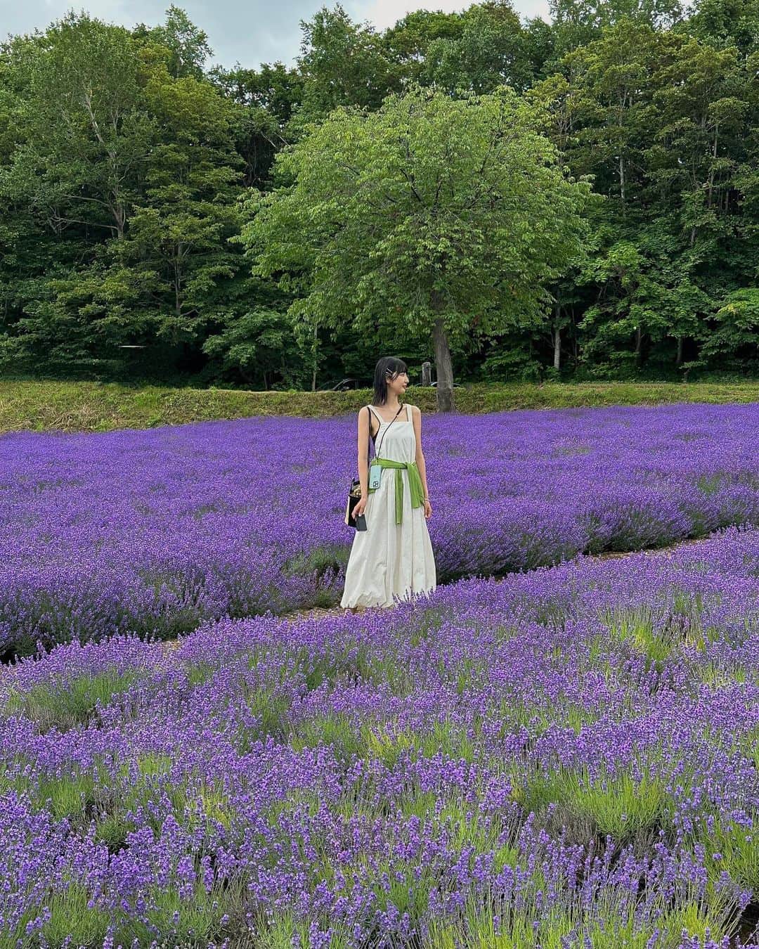 Lisaさんのインスタグラム写真 - (LisaInstagram)「. すんごくきれいだった札幌の ラベンダー畑💜💜💜  ラベンダーのいいにおいもして行ってよかった場所でした🥹帰りにまさかの野生のきつねちゃんをみてびっくりしました🦊🦊  #北海道#ラベンダー畑#ラベンダー#北海道旅行」9月15日 17時12分 - lisarobintweety