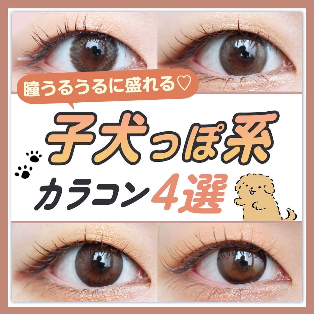 チャームカラーコンタクトさんのインスタグラム写真 - (チャームカラーコンタクトInstagram)「. ＼瞳うるうるに盛れる✨／ . 守ってあげたくなる💗 子犬っぽい瞳になれる🐶カラコン4選です❕ . #コンタクトショップルーク スタッフがっきー の #カラコンレポ 👀🔍 . ーーーーーーーーーーーーーーーーーーーーーーーーー 他の投稿はこちらから☛@loook_official ーーーーーーーーーーーーーーーーーーーーーーーーー . #キュプリエ #シャルムブラウン うるうる瞳で虜にさせる、沼落ちブラウン🐩 🔽スペック 【BC 8.6mm / DIA 14.5mm / 着色直径 13.7mm】 . #フランミー #キャラメルパイ ちゅるんと可愛い甘え上手な瞳に🐶 🔽スペック 【BC 8.6mm / DIA 14.5mm / 着色直径 13.7mm】 . #マジェット #ミスドール 究極にあざとかわいい🐾くりくりな瞳に 🔽スペック 【BC 8.6mm / DIA 14.5mm / 着色直径 13.8mm】 . #フェリアモ #アフォガード とろけるような甘いナチュラル瞳に🐕 🔽スペック 【BC 8.6mm / DIA 14.2mm / 着色直径 13.6mm】  ------------- カラコン通販 ルーク【公式】アカウントでは、 「カラコン選びで失敗したくない😢」 そんな方の参考になるよう店舗スタッフがカラコンレビューを発信中⚡  お得なカラコンキャンペーンもお知らせも💗 お気軽にフォローよろしくお願いします👀 ☛@loook_official ------------- . #カラコンショップルーク #カラコン #カラコンレポ #ワンデーカラコン #quprie #Rちゃん #majette #三上悠亜 #flanmy #佐々木希 #feliamo #白石麻衣 #ベージュカラコン #ブラウンカラコン #透明感カラコン #モテカラコン」9月15日 17時30分 - loook_official