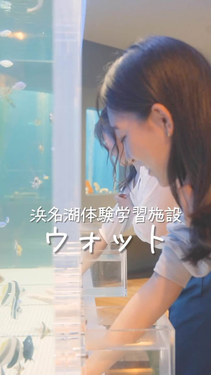 遊佐ちえみのインスタグラム：「お魚と触れ合える‼️😆  大きな水槽で浜名湖の魚や生き物をみたり、タッチプールでさわったり 「浜名湖とふれあい体験」ができる小さな水族館「ウォット」🐟 浜名湖は淡水と海水が混じりあう珍しい湖で、たくさんの魚や生き物が生活しているんだって！ 他にもいろんなイベントがいっぱい✨ぜひ遊びに来てね！  #浜名湖 #浜松 #水族館 #湖 #観光 #体験 #絶景 #visit #view #hamanako #hamamatsu #japan #shizuoka #instatravel #discoverjapan」