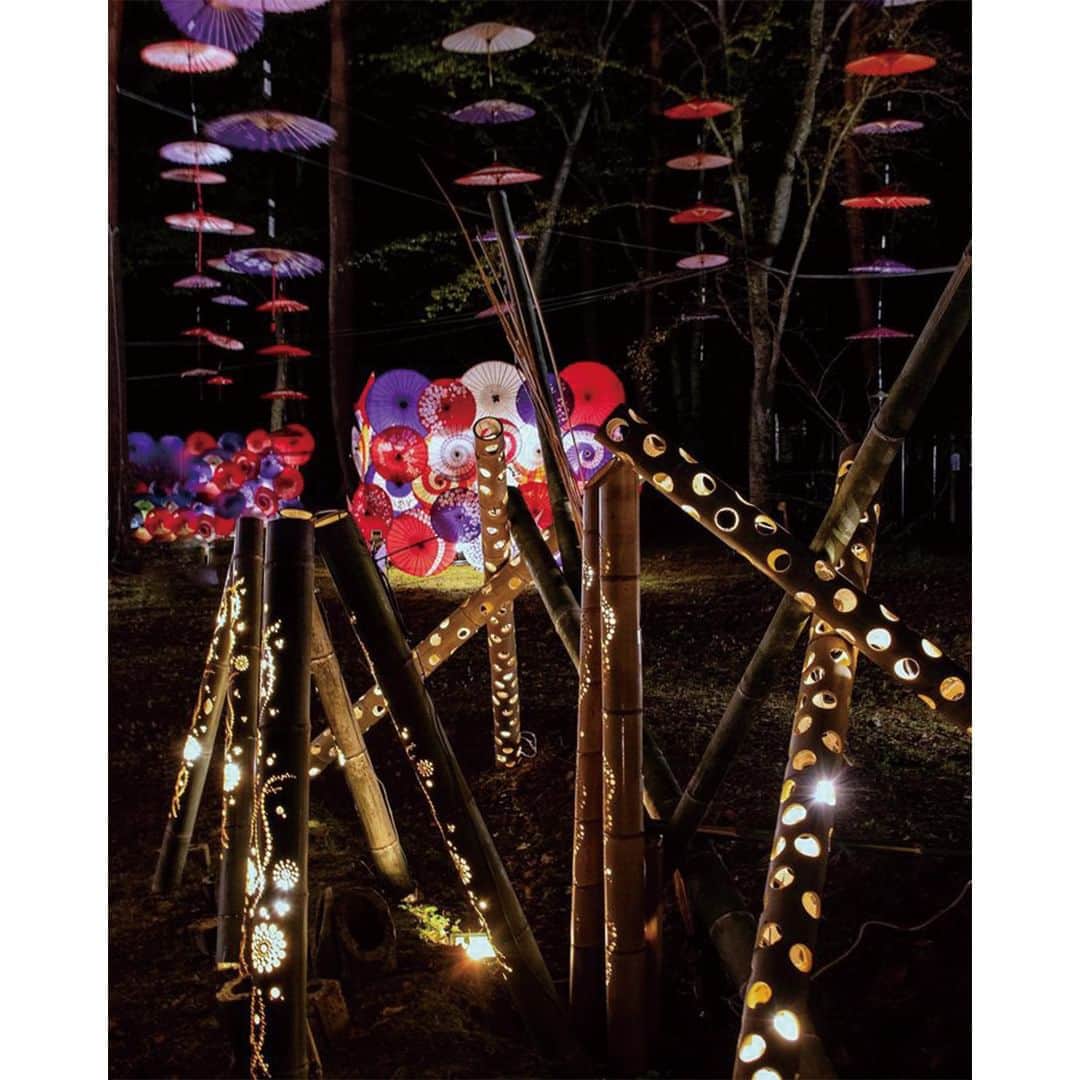 TOBU RAILWAY（東武鉄道）さんのインスタグラム写真 - (TOBU RAILWAY（東武鉄道）Instagram)「. . 📍Kinugawa River – Moonlight Flower Gallery A fantastical autumn space using lights . The Moonlight Flower Gallery is held every autumn in the Kinugawa Park and Kinugawa Onsen area. This year, it is planned to be held during the period from September 22 to November 30 2023. At the venue, you can enjoy a fantastical space with various lights, including decorations using colorful Japanese umbrellas, candles and paper lanterns, and illumination! Enjoy this light production that will heal you just by looking at it! See it and sense it with your own eyes.  . . . . Please comment "💛" if you impressed from this post. Also saving posts is very convenient when you look again :) . . #visituslater #stayinspired #nexttripdestination . . #kinugawa #moonlightflowergallery #illumination  #placetovisit #recommend #japantrip #travelgram #tobujapantrip #unknownjapan #jp_gallery #visitjapan #japan_of_insta #art_of_japan #instatravel #japan #instagood #travel_japan #exoloretheworld #ig_japan #explorejapan #travelinjapan #beautifuldestinations #toburailway #japan_vacations」9月15日 18時00分 - tobu_japan_trip