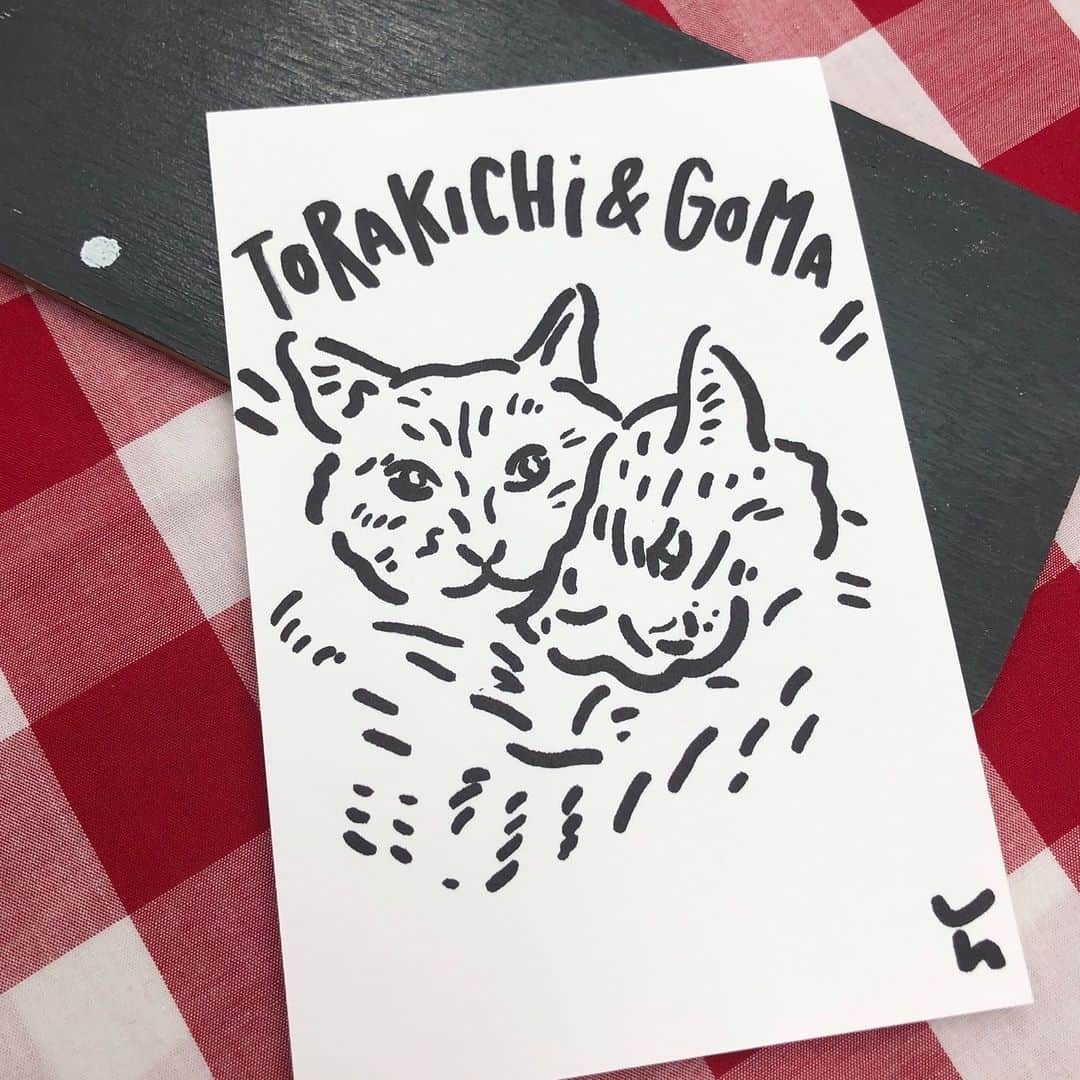 nocotoのインスタグラム：「23,24日に開催されるイベント「DO CATS!」では、ねこねこ祭りの他に、こんな楽しい企画も用意しています！それは…似顔絵！ @ichigoichie_nigaoe さんによる素敵なイラスト似顔絵を描いてもらえるよ。というコーナーです。  ご自身+おうちにいるペットちゃん。を描いていただくのもOK！その場合は写真を見せて描いて頂くのです。参考までにDO CATS!メンバーが描いてもらった写真も是非見てみてね。  猫ちゃんだけの似顔絵もモチロンOK！ 描いて欲しい画像を先にご用意の上ご来場くださいね！(当日探そうとすると 探せない & お気に入り画像が出てこないなどお時間がかかる事が予想されますので、前日までに ♡マークでの保存をオススメします！） - - - - - - - - - - - - 《PRICE》 お1人　￥1,500 （←約15分程かかります） お2人　￥2,500 3人以上　￥3,000 - - - - - - - - - - - - ※🐱🐶ちゃんなどは 1匹 =1人と数えます ※👩🐱 or 🐱🐱など = お2人 になります ※写真同士の組み合わせでもOKです (お空の子でも🌈♡） ※当日はエントリー制になりますので、お待ちいただく場合がございます。  ・・・  DO CATS! 2023.9.23(Sat),24(Sun) 12:00-18:00 Place @CORRECT showroom    on CAT street（SHIBUYA）  Brand / shop：CAT IN DA HOUSE! / N+Ecology（ネコロジー） / nocoto / weekend cats / 苺一絵（似顔絵） / happy NOON / oheso.no.neko(TNR、保護猫活動)  Correct showroom渋谷に DO CATS!（#ネコろうぜ）をキーワードに集まった仲良しブランド＆ショップが大集合！2日限りの秋祭りを繰り広げます。当日は、バラエティに飛んだ猫だらけの品揃えはもちろん、限定アイテムの販売や、苺一会さんによる似顔絵コーナーなど、楽しい企画目白押しでお待ちしています。遊びに来てネ♡  ※ご来場に際して ・会場は靴を脱いで上がって頂くスタイルになります。恐れ入りますが、ご入用な方はスリッパなどご準備ください。（靴を入れる袋をご用意しております） ・会場は飲食不可となっております。飲み物や軽食等のお持ち込みはバッグにしまえるものをお願いいたします。 ・決済は現金またはクレジットカードがメインです。スマート決済は店舗により対応が異なりますので直接お問合せください。 ・来場者が一定数を超えた場合、お待ちいただく場合がございます。あらかじめご了承ください。  住所：〒150-0001 東京都渋谷区神宮前5-29-9 めぐみハイマンション701  @oheso.no.neko2021 @nocoto_store @catindahouse_kuromame @n_ecology_ @weekend_cats @ichigoichie_nigaoe @happynoon_jp   #docats #ネコろうぜ #猫ろうぜ #似顔絵 #猫の似顔絵  #docats #catindahouse #necology #weekendcats #ichigoichie」