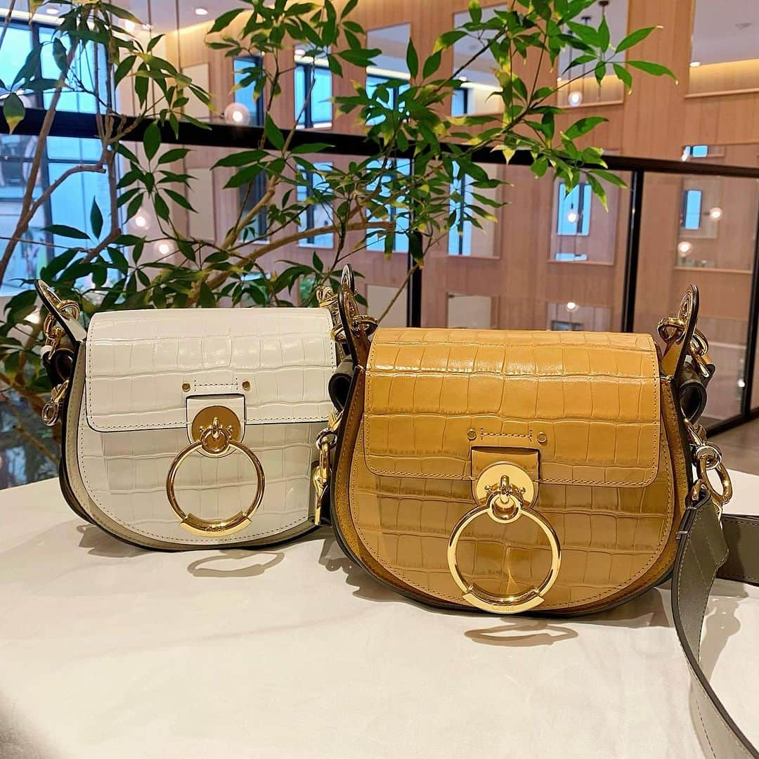 bijouxthreecさんのインスタグラム写真 - (bijouxthreecInstagram)「【Chloe】  Chloeの中でも長く愛され続けている"TESS"👜  中央の丸みのある金具が特徴的なシリーズ。 型押しのレザーは上品で大人な雰囲気を演出してくれます💫  太めのショルダーストラップもお付するので、 ハンドバッグとショルダーバッグ2wayでお楽しみ頂けます😌✨️   #Chloe  #クロエ  #Chloeバッグ  #クロエバッグ  #クロエ財布   #TESS  #テス  #tess   #ミニバッグ  #ショルダーバッグ  #ご褒美バッグ  #bijouxthreec   #ビジュースリーク  #新潟  #古町」9月15日 18時32分 - bijouxthreec