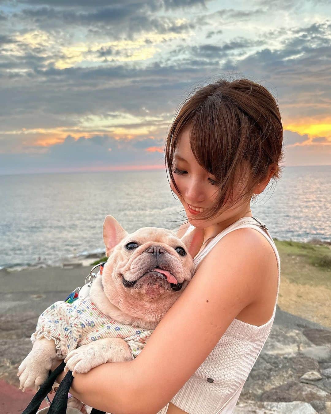 かのあい。さんのインスタグラム写真 - (かのあい。Instagram)「もっと梅子と色んな思い出作りたいな～💭❤️ てか、なんか写真が苦しそうに見えるの何でなん？笑 . #daily #frenchbulldog  #フレブル #フレブルのいる生活」9月15日 18時35分 - _aiai.com_