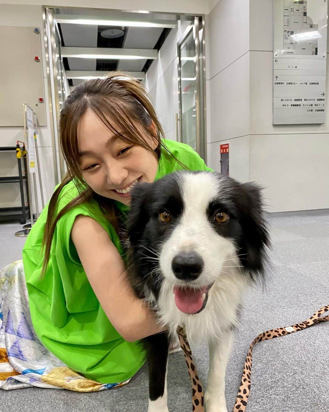 須田亜香里さんのインスタグラム写真 - (須田亜香里Instagram)「写真をスライドすると走り出すよ🐾💓  今日はスロイジ最後の出演でした🥹 ほぼ毎月出演させていただいて、今日で18回目だったみたいです。 どの曜日にお邪魔しても本当に楽しくて、アットホームで、大阪にも居場所ができたみたいでいつも嬉しかった☺️ なんでいつもあんなに肩の力を抜いて平気で素で喋れたんだろう…って不思議です。 今日も平気でアホなことばっかり言ってたけど、見取り図さんが楽しくしてくれて、笑い声が絶えなくて、安心して楽しんでいました🥹 素敵なスタッフの皆様や、出演者の皆様、そして大好きなテス🐾 またどこかでご一緒できるよう！精一杯頑張ります❤️ ありがとうございましたー！ @0150slow_easy_routine  #スロイジ #大好き #ありがとうございました  #須田亜香里衣装 #余談ですが #ずっと買おうか悩んでる靴 #やっぱ履きやすい #色もソールの厚さも種類豊富すぎて決められない」9月15日 18時52分 - akarisuda