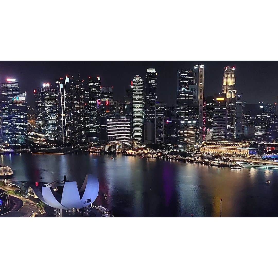 岩山立子のインスタグラム：「#singapore  #singaporeflyer」