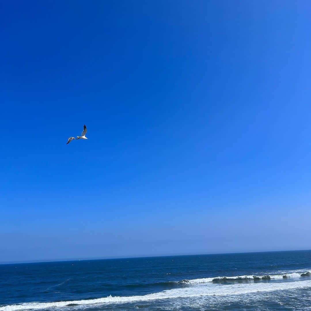 武藤乃子さんのインスタグラム写真 - (武藤乃子Instagram)「🌊 2023夏の海。  #海 #空 #青空  #夏の思い出 #風景 #ノン加工」9月15日 19時22分 - muto_noriko.11