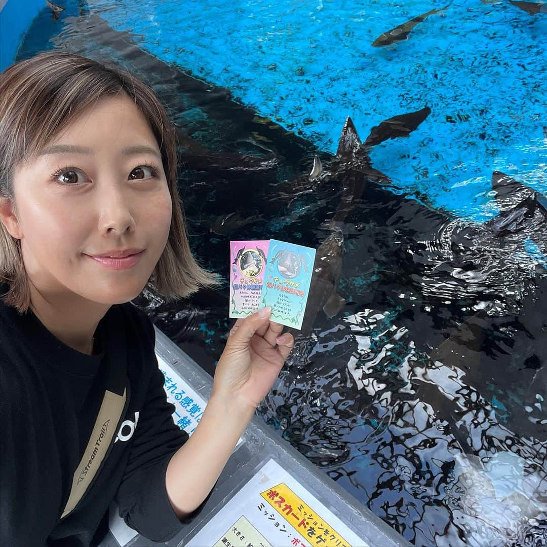 蒼井さやさんのインスタグラム写真 - (蒼井さやInstagram)「今日は羅臼から船で渡してもらってカラフトマス釣りに行ってきました🎣✨️ 釣果は…😑 完全に場所(釣座)命の釣りなんだと認識… そして“釣る”というより“引っ掛ける”要素の強い釣りなのかな？数年前にカラフトマスを釣った時とは状況も環境も違うかったけど、何よりキタキツネや小熊に遭遇出来たことはめっちゃ嬉しかった🥹✨️ キタキツネはただただ可愛くて、生クマは初めてお目にかかれたから大興奮でした😆✨️ ・ ・ ・ 釣りは午前4時に出船して9時過ぎには帰着してるというスタイル。 そこから網走に帰るまでの道で、少し寄り道を😊✨️ ほぼほぼ去年も行ったコースだけど、 最高のロケーションだった相泊温泉は昆布だらけに…w 知床の道の駅では去年食べた同じメニュー(鮭イクラ丼)を😋 サーモン化学館では、去年出来なかったチョウザメ指パク体験を実体験🤣１回できたら余裕でできるようになった🤣🤣 ・ ・ ・ さて！明日は鮭釣り実釣とブルーマリンさんでの店舗イベントの2本仕立て！！ 北海道の皆さんにお会い出来るのを楽しみにしてます😘 ・ ・ ・ ・ 【ブルーマリン】 〒092-0068 北海道網走郡美幌町三橋2丁目10-6 TEL / 0152-73-3545 営業時間 / 9:00-19:00  https://blue-marlin.co.jp ・ ・ ・  #北海道  #北海道旅行  #女満別  #ブルーマリン  #釣り  #北海道鮭釣り  #鮭釣り  #カラフトマス釣り  #beat」9月15日 19時25分 - saya.aoi