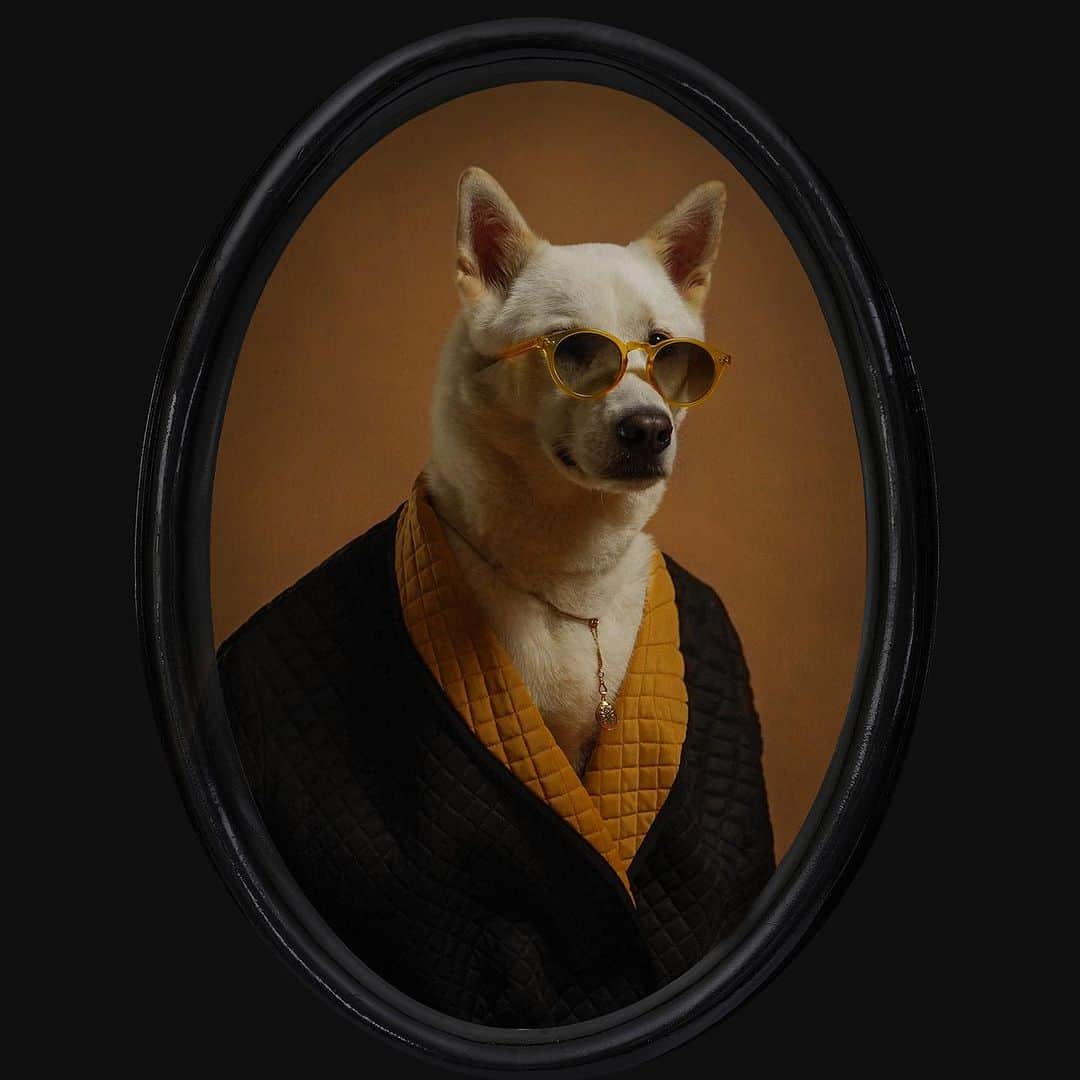 Menswear Dogさんのインスタグラム写真 - (Menswear DogInstagram)「1000th post 📸✨  Every post since the inception of Mensweardog in 2013 (shout out to the OG followers) carries with it memories of laughter during feel-good photoshoots, the sights and sounds of the set that day paired with visions of Bodhi’s captivating smile and eccentric personality.   This is an appreciation post for Bodhi and Luc, for Team MWD (Cata, Mackenzie @mkenzzzz , Kaleigh Rae @kaleighraephoto , Molly @mollystanard), my family and all of the incredible people we’ve been fortunate enough to work with. If we had a dollar for every triple-take we’ve witnessed during MWD photoshoots, we’d be a million deep.   I left a stable full-time job and plunged into a commitment of spending as much time as possible with Bodhi and in return, it has given me freedom, time to create and the chance to share the magic of Bodhi and Luc with all of you.   Thank you all from the bottom of my heart for giving us the love and support that made it possible for us to send off this 1000th post.   Here’s to 1000 more 🎉  - @yenaxkim (The Dogmother)」9月16日 1時07分 - mensweardog