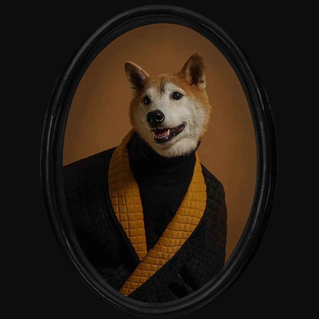 Menswear Dogさんのインスタグラム写真 - (Menswear DogInstagram)「1000th post 📸✨  Every post since the inception of Mensweardog in 2013 (shout out to the OG followers) carries with it memories of laughter during feel-good photoshoots, the sights and sounds of the set that day paired with visions of Bodhi’s captivating smile and eccentric personality.   This is an appreciation post for Bodhi and Luc, for Team MWD (Cata, Mackenzie @mkenzzzz , Kaleigh Rae @kaleighraephoto , Molly @mollystanard), my family and all of the incredible people we’ve been fortunate enough to work with. If we had a dollar for every triple-take we’ve witnessed during MWD photoshoots, we’d be a million deep.   I left a stable full-time job and plunged into a commitment of spending as much time as possible with Bodhi and in return, it has given me freedom, time to create and the chance to share the magic of Bodhi and Luc with all of you.   Thank you all from the bottom of my heart for giving us the love and support that made it possible for us to send off this 1000th post.   Here’s to 1000 more 🎉  - @yenaxkim (The Dogmother)」9月16日 1時07分 - mensweardog