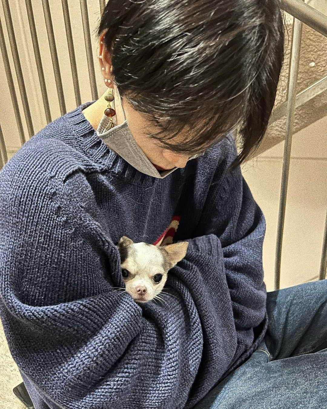 ゆーまのインスタグラム：「僕と犬🐶」