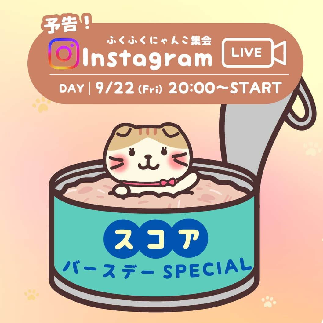 HAPiNSのインスタグラム