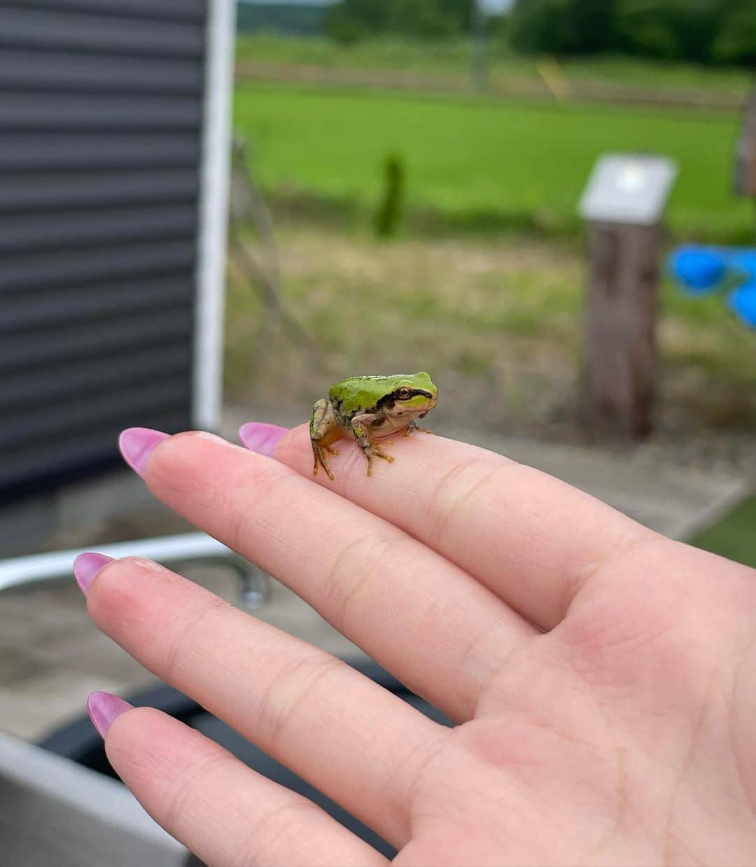 かすこんねぅさんのインスタグラム写真 - (かすこんねぅInstagram)「みんなで北海道に行ってきたよ𝑘𝑖𝑠𝑠 いよちゃんのYouTube絶対に観てʬʬʬʬʬʬʬʬʬʬʬʬʬʬʬʬʬʬꪝ𐤔ꪝฟꪝ ꪝ  大自然の中にプライベートサウナやお風呂もあって、控えめに言って最高すぎましたの- ̗̀‎𖤐 ̖́- ✩⸝⸝⸝⋆.✩.*˚ サインも書かせて頂きました~カエルᒼᑋªⁿ♥︎を添えて~  @koti_private.sauna.cottage」9月15日 20時02分 - kasukonnnnnneu