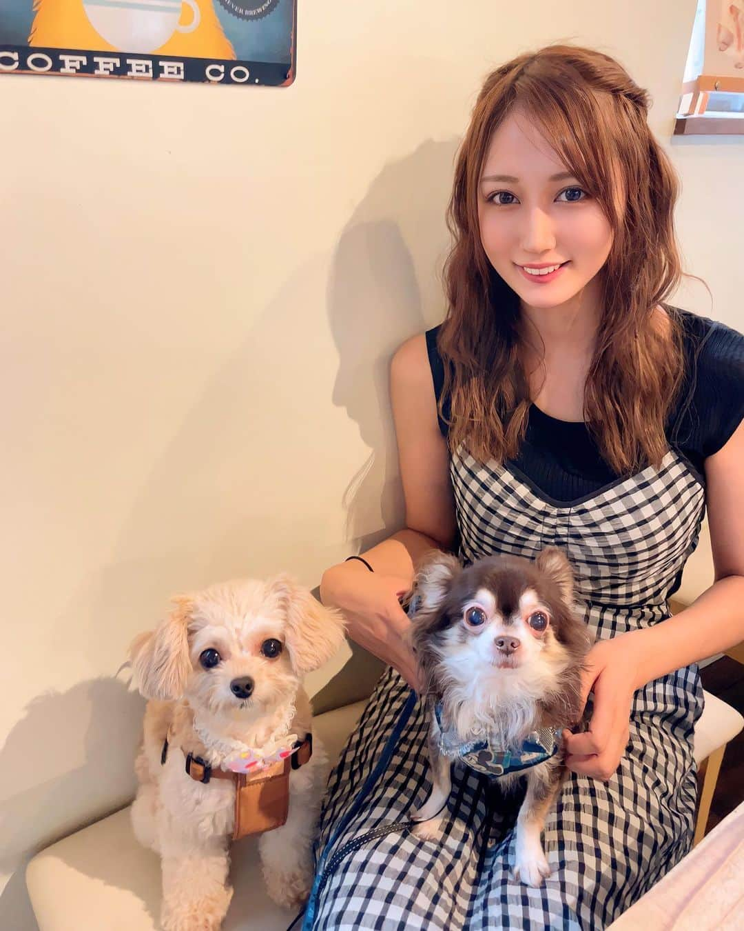 七瀬美月さんのインスタグラム写真 - (七瀬美月Instagram)「雨の日のdog cafe 🐶🐶☕️🍩🪴💗  室内ドックランも行こうと思ってたけど2匹重くて断念😂  別日にまた行こう💗🫸🐕🐩  ivy cafe dogmenuが沢山あってまた行きたい🥰 ふたりともサツマイモの🍠気に入って食べてたけどなかなか呑み込めなくて🤣🤣可愛かった😂  ラム肉のトマト煮込み、特にマロさんが気に入ってがっついてた😂🩷  #dogcafe#ivycafeandbar  #代々木dogcafe#ivyカフェ  #dogmenu#ドッグメニュー #☕️#多頭飼い#こぐまろ#yoyogi #チワワ#チワプー#rainyday #ヘアアレンジ#雨で取れた#ウニョウニョヘア」9月15日 20時12分 - yskwask1114