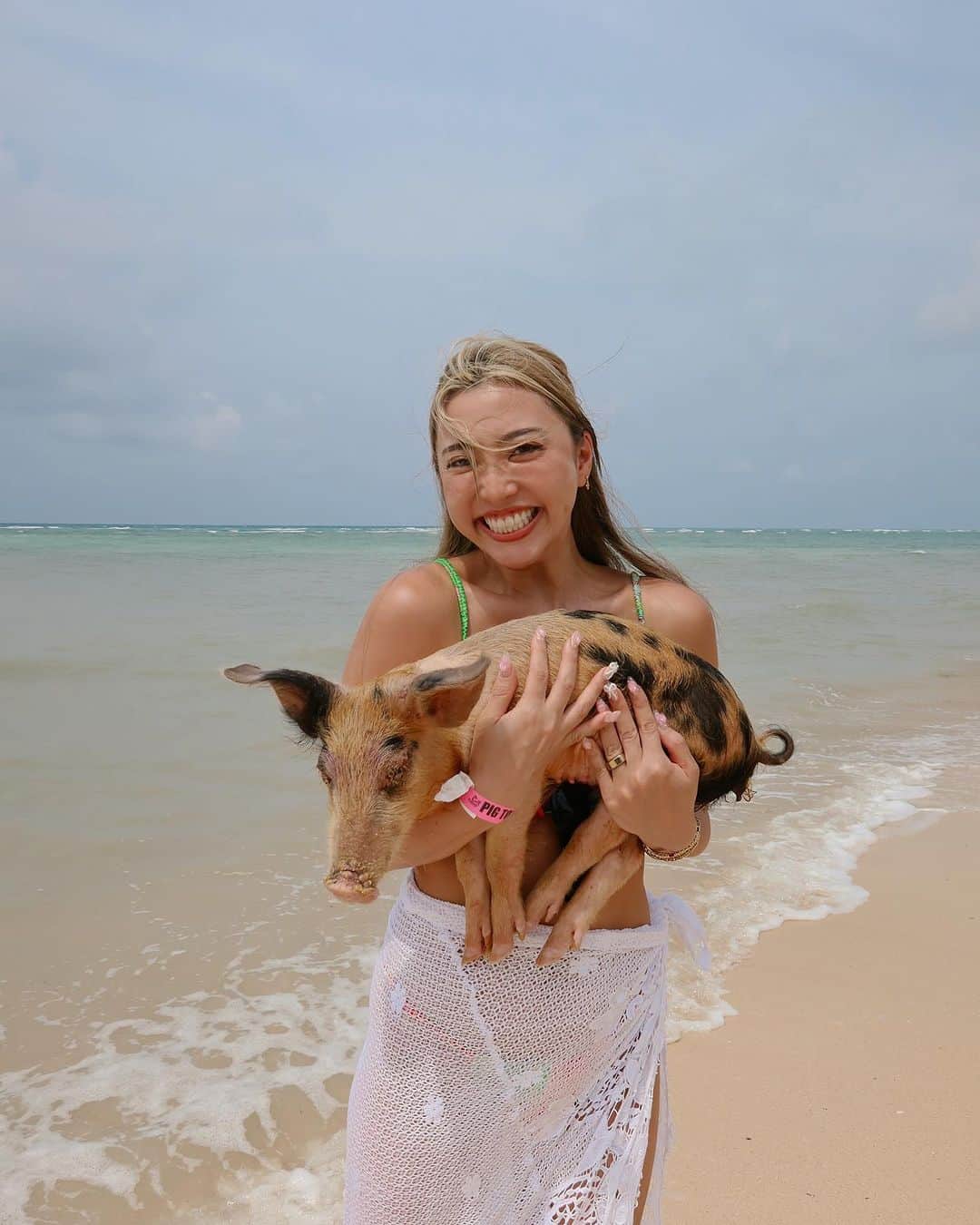 植野有砂さんのインスタグラム写真 - (植野有砂Instagram)「Thank you lil piggies 🐷🐖💕  Bahamas vlogがYouTubeにアップされました！ぜひみてねー❤️夢にまでみたブタちゃんと泳ぐ！は、悪天候のため泳げなかったけど、ビーチでミーグリできました🥲💕🐖 かわいかった😭💕💕💕けど少し怖くて基本私の首筋が物語ってるww」9月15日 20時12分 - alisaueno