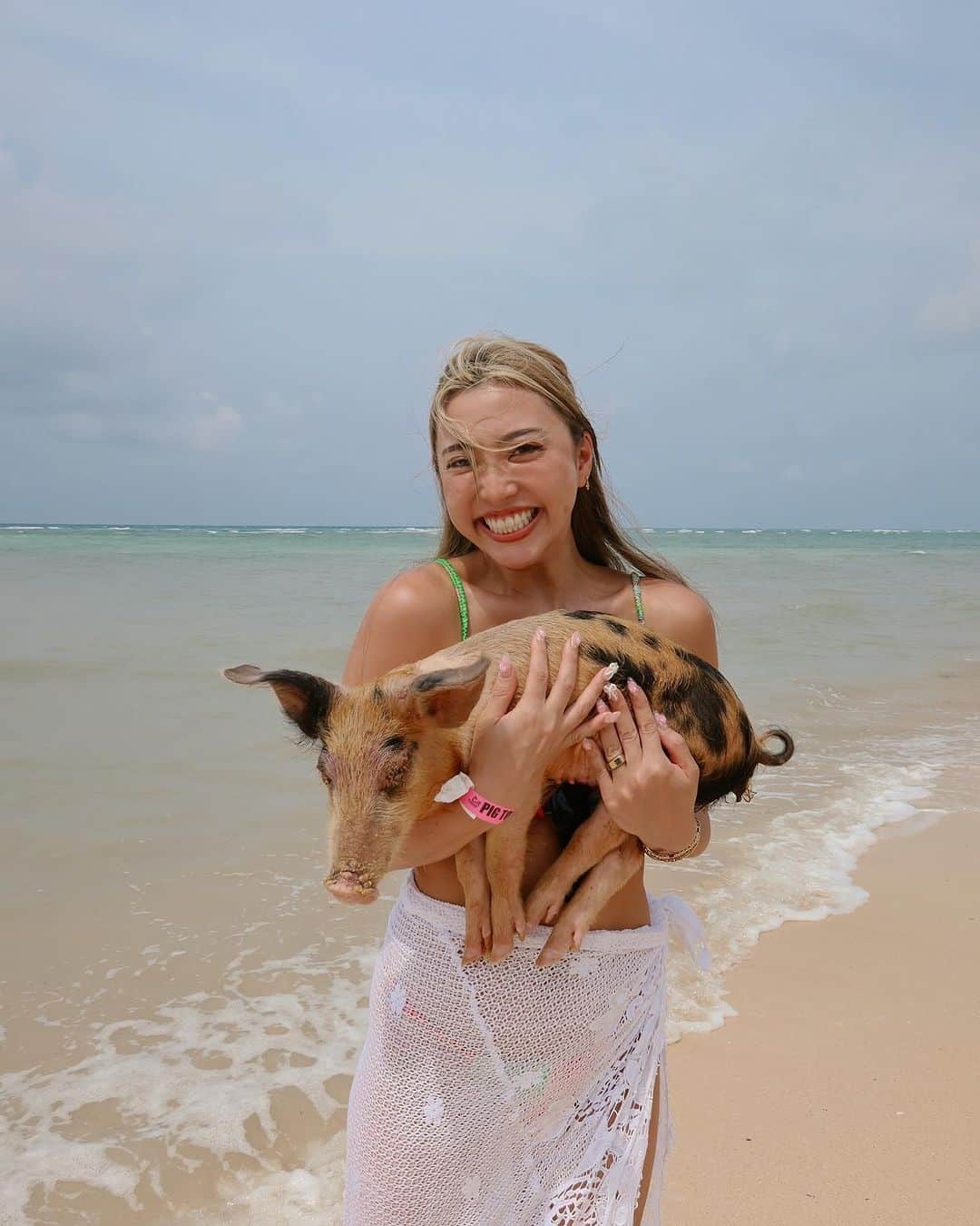 植野有砂のインスタグラム：「Thank you lil piggies 🐷🐖💕  Bahamas vlogがYouTubeにアップされました！ぜひみてねー❤️夢にまでみたブタちゃんと泳ぐ！は、悪天候のため泳げなかったけど、ビーチでミーグリできました🥲💕🐖 かわいかった😭💕💕💕けど少し怖くて基本私の首筋が物語ってるww」