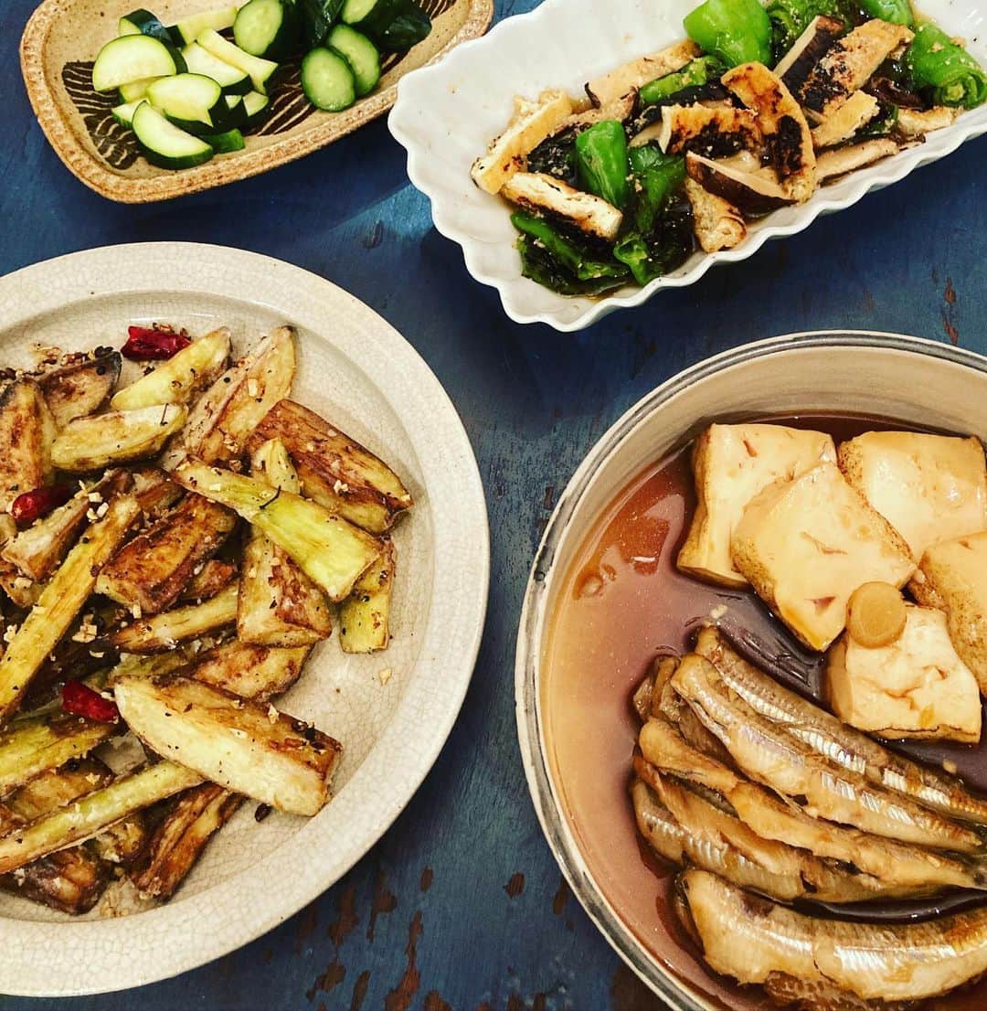 井上荒野のインスタグラム：「メギスという初めて見る魚、煮付けにするとおいしいと魚屋のおじさんが言った通り、上品な白身でおいしい🤤今日、打ち合わせに来てくださった「趣味どきっ！」のテキストに載ってた樋口直哉さんの、なすのふわトロ揚げ花椒風味もおいしい🤤飲んじゃう献立。」