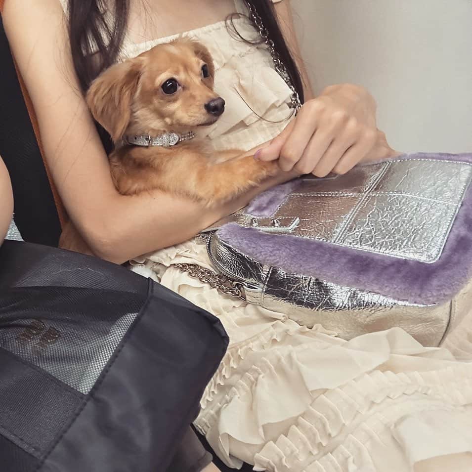 道江幸子のインスタグラム：「🍚🐕💜」