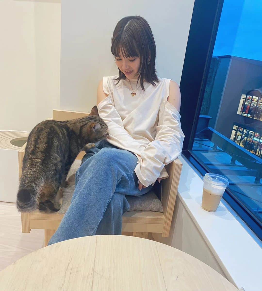 早川真生のインスタグラム：「猫カフェデビューした🐈‍⬛🍒⁡ ⁡⁡ ⁡⁡⁡ ⁡⁡ ⁡⁡ ⁡⁡」