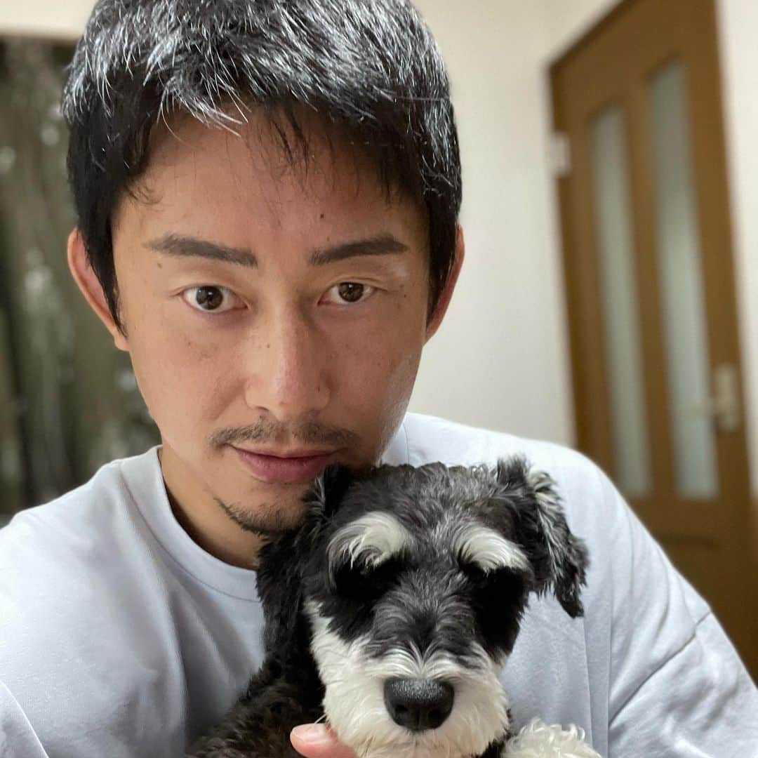 吉永啓之輔のインスタグラム：「そろそろ2匹とも トリミングだな🐶」