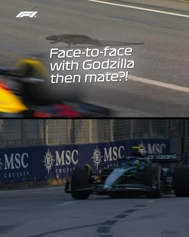 F1のインスタグラム：「A sudden spell of déjà vu for @maxverstappen1! 🦎⏪  #F1 #Formula1 #SingaporeGP #MaxVerstappen」