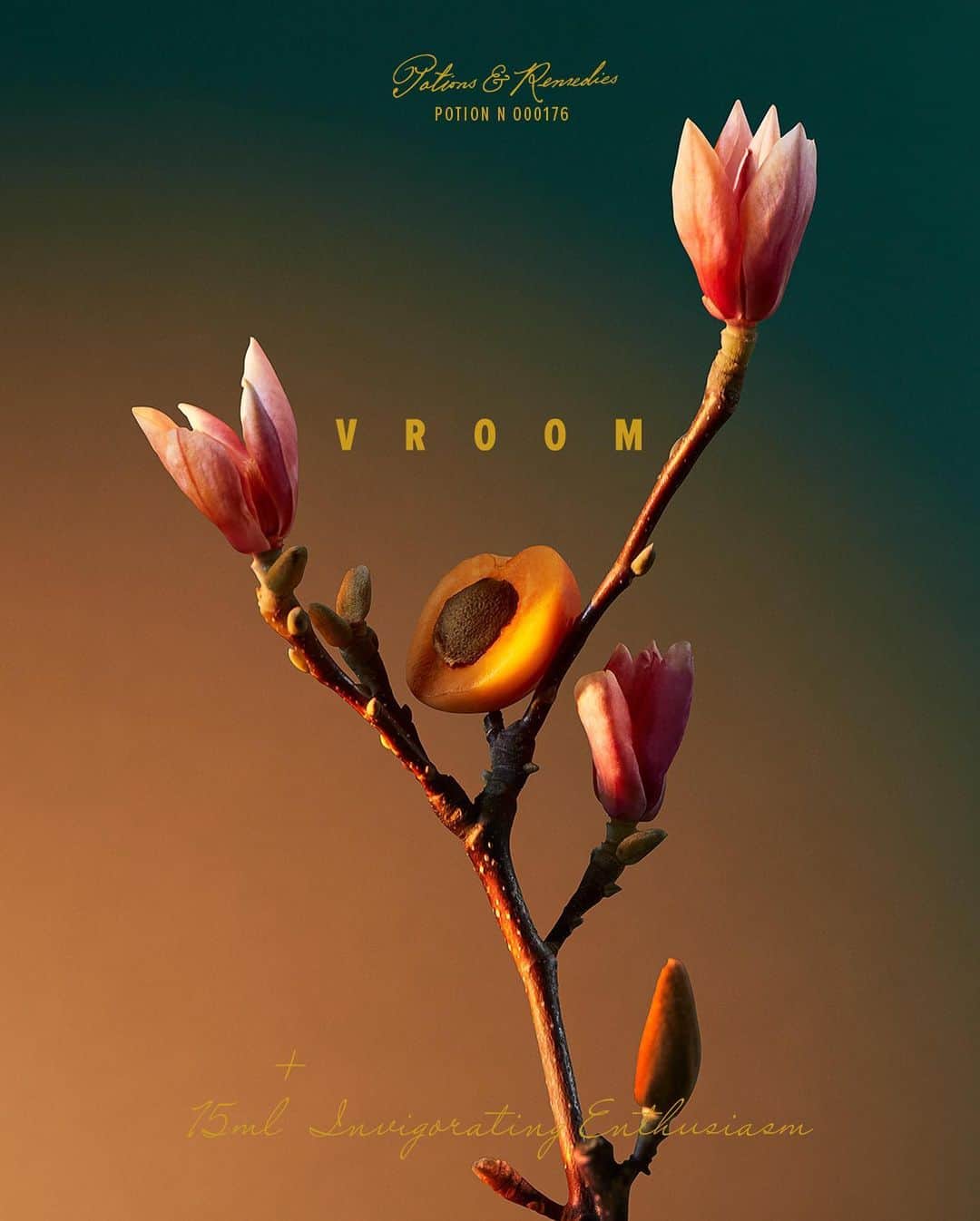 のインスタグラム：「Energetic osmanthus mixed with citrus unveils a succulent invigorating vitality. Apricot notes ricochet with wordiness. Magnolia blooms by the spoonful. Nothing can stop you now.」