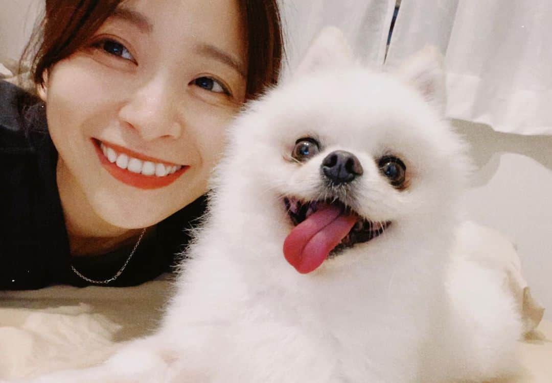 AMIのインスタグラム：「愛犬初公開🐕  もう3さい。 ずっと一緒。  仲良し🐶🤦🏻‍♀️❤️」