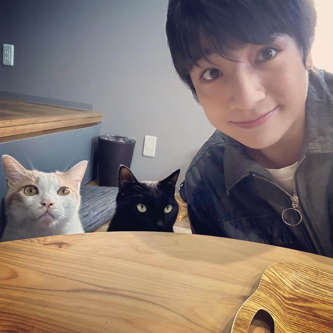 本田剛文さんのインスタグラム写真 - (本田剛文Instagram)「弟たちと。  #猫 #猫好きさんと繋がりたい  #猫のいる暮らし #ねこすたぐらむ  #ボイメン #本田剛文」9月15日 23時27分 - boymen_honda
