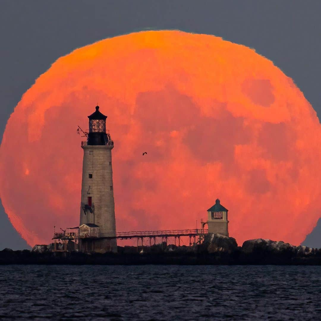 NikonUSAさんのインスタグラム写真 - (NikonUSAInstagram)「Boston at its finest 😍 Nikon Creator @617Images uses the Nikon Z 9 to photograph New England in stunning color. He seamlessly transitions between vast landscapes and bustling cityscapes, offering unique perspectives of each location. “My work is driven by the desire to capture fleeting moments of natural splendor, and I draw inspiration from the juxtaposition between nature and human-made structures. I bring these scenes to life, aiming to inspire wonder and appreciation for the world around us.”  The final countdown of the road trip begins 🚗 If you want to be featured, be sure to tag your work with #NikonCreators as we get ready to say goodbye to summer.  #NikonZ9 #NIKKORZ #Boston #NewEngland #Cityscapes #Landscapes #Photography #NikonCreators」9月16日 1時35分 - nikonusa