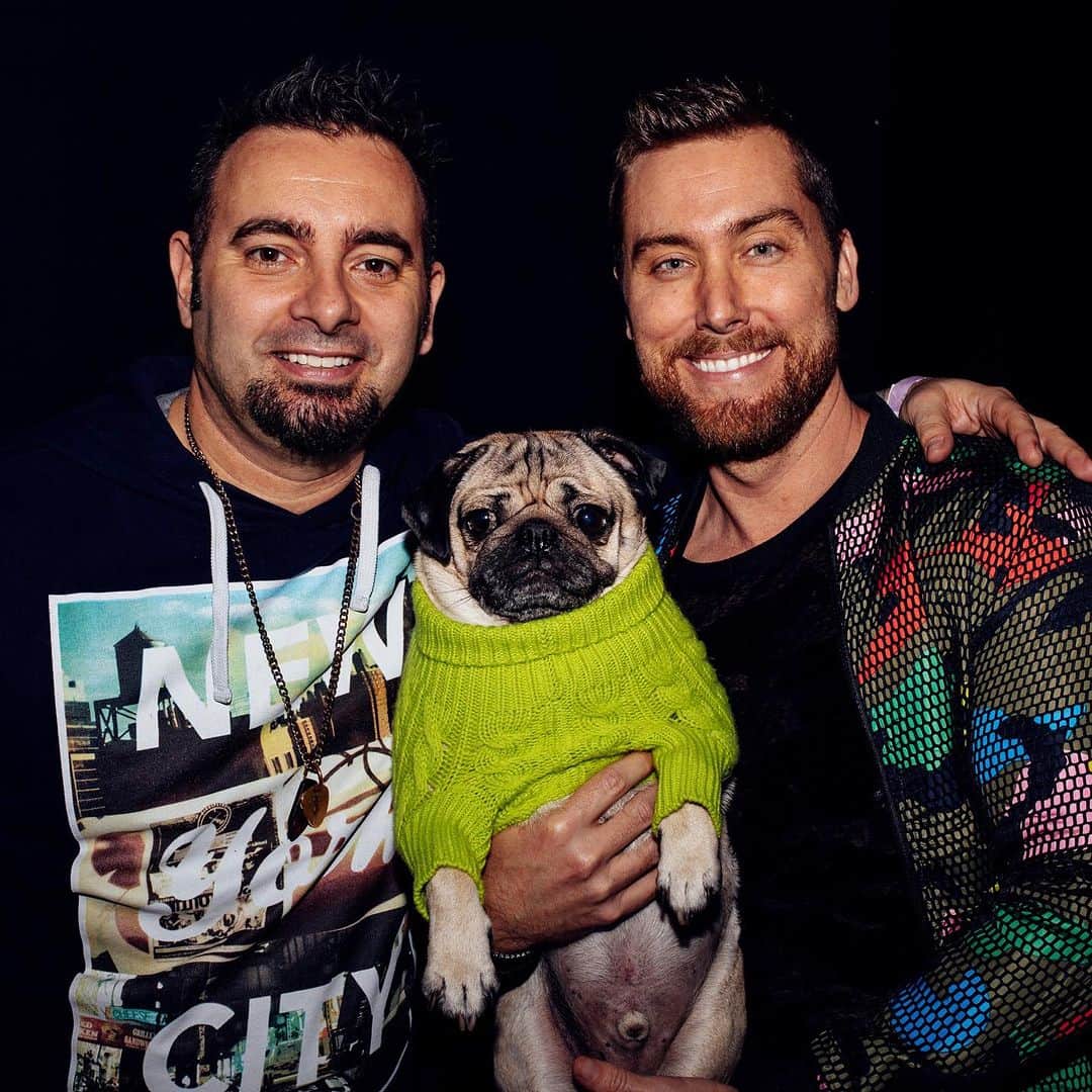 itsdougthepugのインスタグラム：「“Me trying to stay calm knowing @nsync is coming back” -Doug  #nsync #dogsofinstagram #dougthepug」