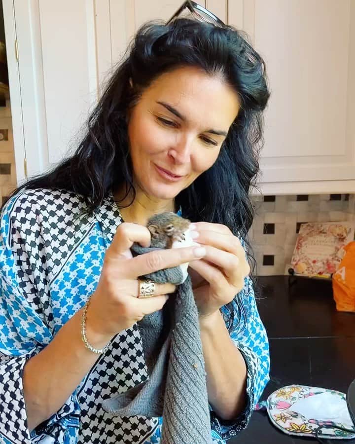 のインスタグラム：「Totally NUTS about this little guy!!!   (See what I did there?😉🐿️🌰🍼) I haven’t slept in two weeks but I’ve never been happier! Everyone meet Thomas, Thomas meet everyone! #blessed #grateful #mylittleguy #tinythomas #babysquirrel #rehibilitation #animallover  #squirrelmom #ineedsleep #squirrelmomproblems」