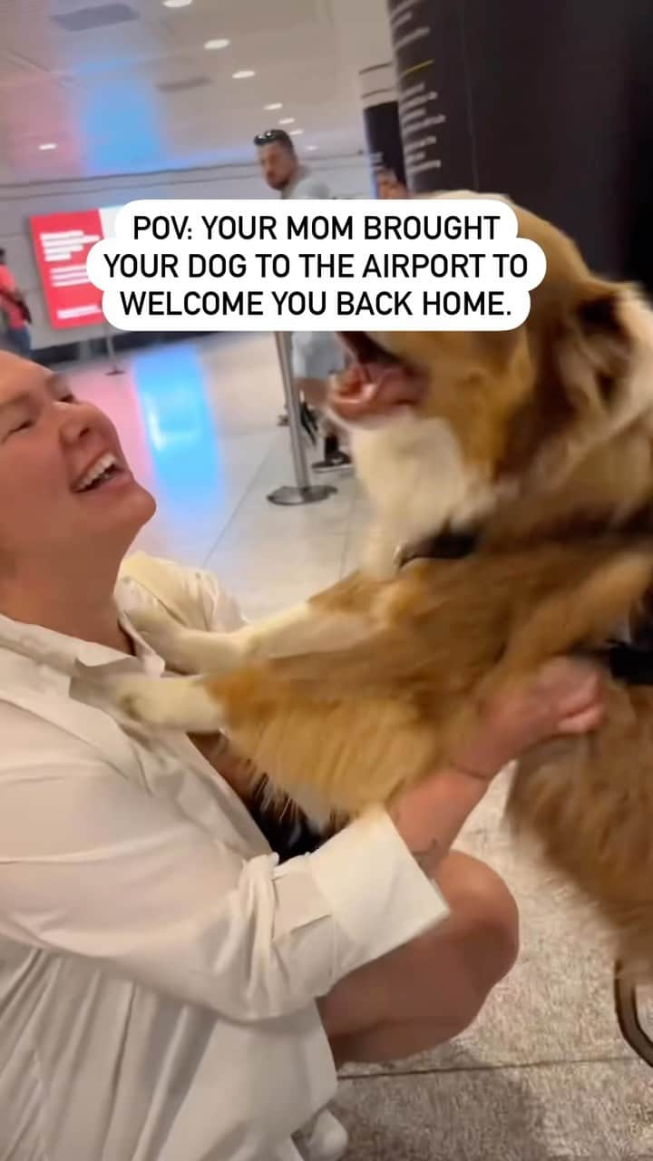 アメリカ運輸保安局のインスタグラム：「Friends fur-ever!    Get reunited with travel and make it feel so good with TSA PreCheck! As bone-ified experts, this way of traveling with ease is just too good not to share!    🐾 With TSA PreCheck you get to keep your pups in your shoes, and forget having to remove your belt or light outerwear.   🐾 Wanna know what else is howl-pful?  No need to remove your travel liquids or electronics from your bag for screening.    🐾 Go ahead and make it a family affair. Your pack, Kids 17 and under, can join any adult with TSA PreCheck.   So if a paw-sh way to travel is on your bingo card then here’s your sign to kiss your old travel ways good-bye! Zoomy over to our link in bio to sign up today!    #BestFriends #DogLife #Reunited   Video by @cam_ds」