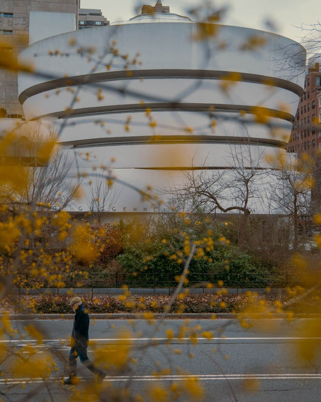 グッゲンハイム美術館のインスタグラム：「"The structure of this building is so soothing, and almost feels hypnotic, reminding me of a spiral, or circles going inwards. It always gives me a reflective or contemplative experience." —Aneela Choudhary (@aneelias)  #FrankLloydWrightFridays」