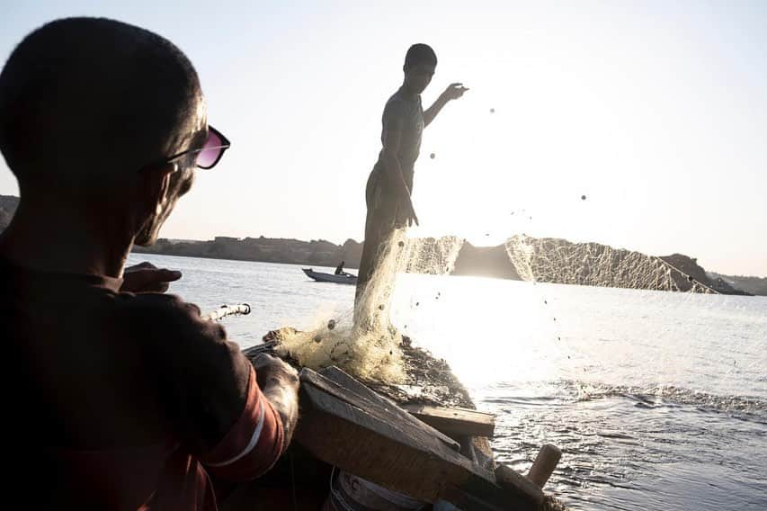 thephotosocietyのインスタグラム：「Photos by @mattmoyerphoto // I am honored to share work from my recent National Geographic Explorer grant project funded by @insidenatgeo documenting the role of the Nile in Egyptian life and the looming water scarcity crisis. Egypt gets 97% of its water from the Nile and as the nation’s population balloons and temperatures increase due to climate change, Egypt could run out of water as soon as 2025.   Image 1. A teenage boy fishes with his father, who is blind, near the temple of Philae on Lake Aswan in Aswan, Egypt. ⁠ ⁠ Image 2. A fisherman rows along the thin ribbon of green that surrounds the Nile at Aswan, Egypt.⁠ ⁠ Image 3. A Nubian man wades into the Nile for an evening swim.⁠ – ⁠#Egypt #NationalGeographicExplorer #Nile #WaterCrisis – Follow me @mattmoyerphoto to see more work from this project.」