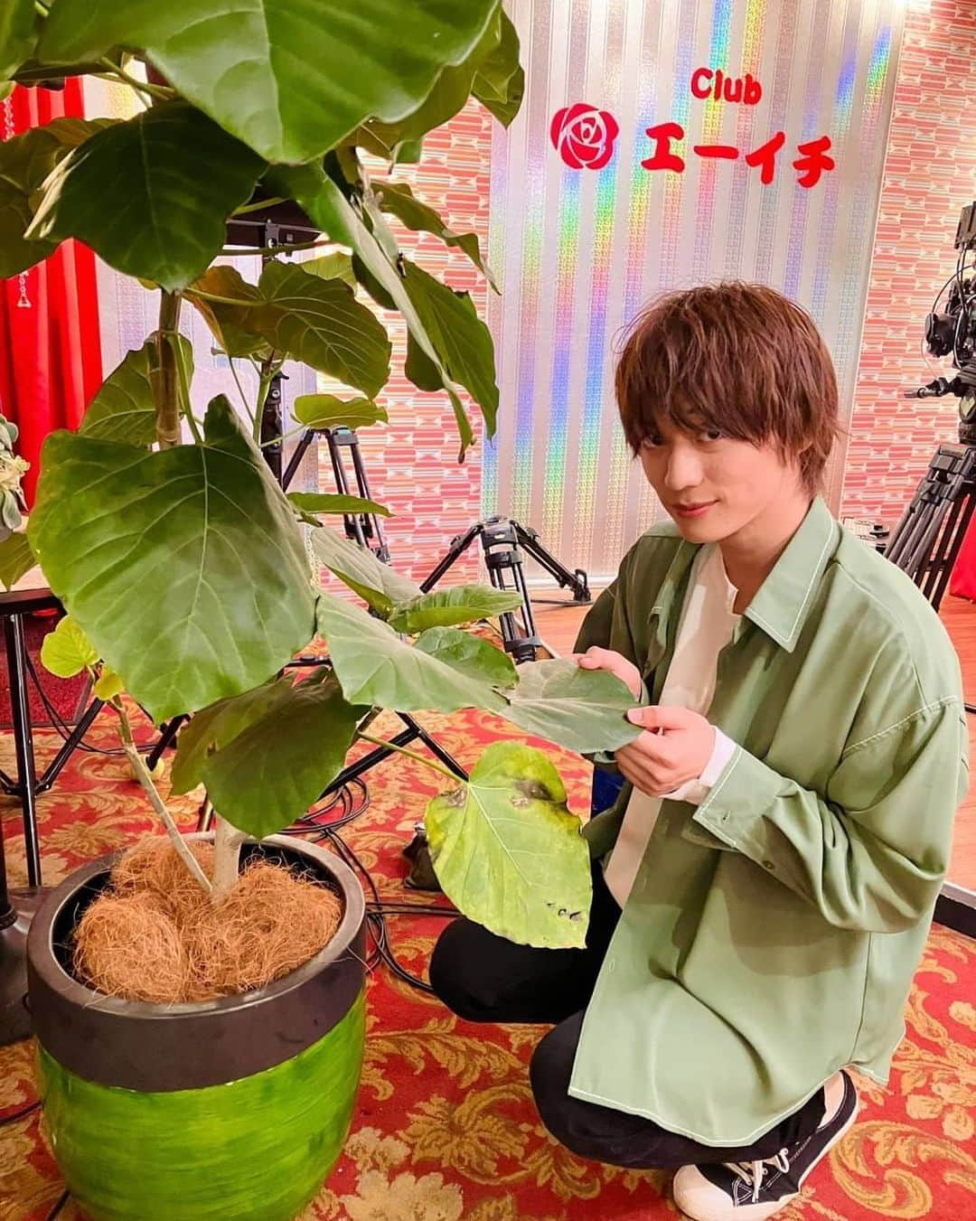 村井の恋さんのインスタグラム写真 - (村井の恋Instagram)「•  🎎#埼玉のホスト オフショット📸  植物への愛情は人一倍のキセキ🪴 でも、エーイチに来てからは大好きなものがたくさんできました👩🏻‍💻🐦🚃🧸💪🏻🍒  9/19(火)深夜25時03分から第8話放送📺 #TVer では第１話、第７話を無料配信中❗️ #Netflix では全８話配信中❣️  #タマホ #葉っぱになってそっとつままれたい　 #福本大晴　(#Aぇgroup )  #山本千尋  #楽駆 #木村了 #中沢元紀 #田中洸希 #濱尾ノリタカ #守谷日和 #中山咲月」9月16日 18時07分 - tbs_drama_stream