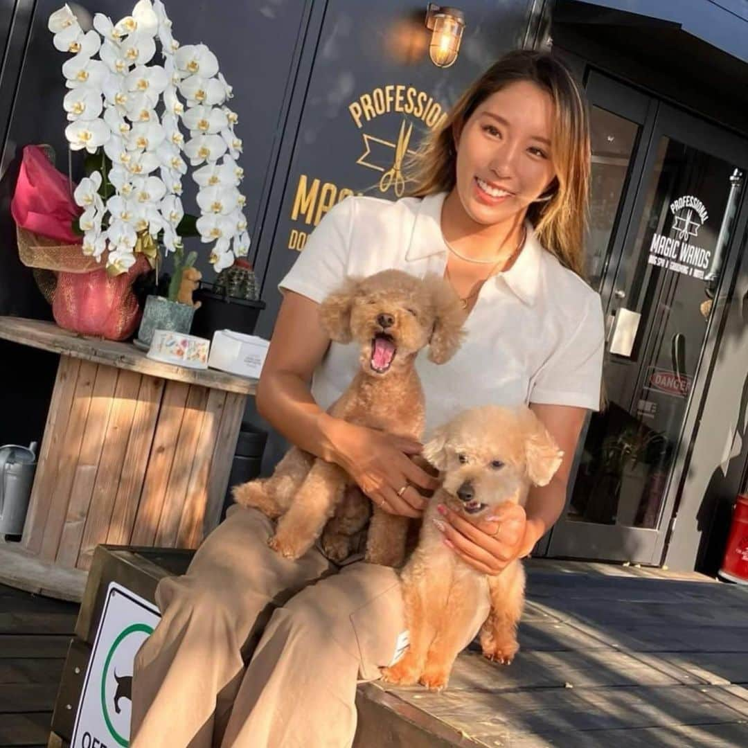 川合美乃里さんのインスタグラム写真 - (川合美乃里Instagram)「いつもお家の🐩🐩達をトリミングしてくれているサロンの紹介をさせてもらいます🥺💗  トリマーさんでは珍しい男性トリマーが店長さんの Dog spa &Hotel  Magic Wands✂️💈🐶 @pet_spa_hotel_magicwands   シャンプーやトリミングは勿論、サーファーさんが海に入水している間の一時預かりもあります 2.5H（¥1,100）でリーズナブル🩶 気軽に一緒にトリップいけるし、サーフィンできるよね🥺  もちろんサーフトリップ等、長期の留守の際にもいつも安心してお預かりお願い出来てますよー😁  何よりも全メニューにコミコミで、医療用で使われる高濃度炭酸装置を使ってシャンプートリミングをしてくれるので、今までにないぐらいふわふわが持続してくれてます🫧🫧  スタイリングも、キャリア20年のトリマーさんがとっても親身に相談に乗ってくれていつも素敵に仕上げてくれてます🐶✂️  ピザやパスタもワンコ🐶と食べられる、@torami_beachclub 🍕も併設しているので愛犬家にはとっても嬉しい〜  是非近隣の方も、遠方の方も一度足を運んでみてください。   是非フォローお願いします↓ @pet_spa_hotel_magicwands  「Dog spa &Hotel  Magic Wands」  ドッグスパ&ホテルマジックワンズ 営業時間 平日9:00〜19:00 土日祝日8:00〜19:00 定休日　木曜(夏季や祝日営業変動あり) 〒299-4303 千葉県長生郡一宮町東浪見7198-2 TEL080-3918-9416」9月16日 18時31分 - minorikawai