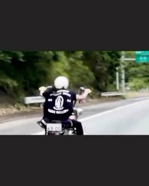 宮島三郎のインスタグラム：「さぶっちです。 ハーレーダビットソンとかけまして、乗馬の体感速度とときます。 馬力が違う。 #違うか #ねずっち」