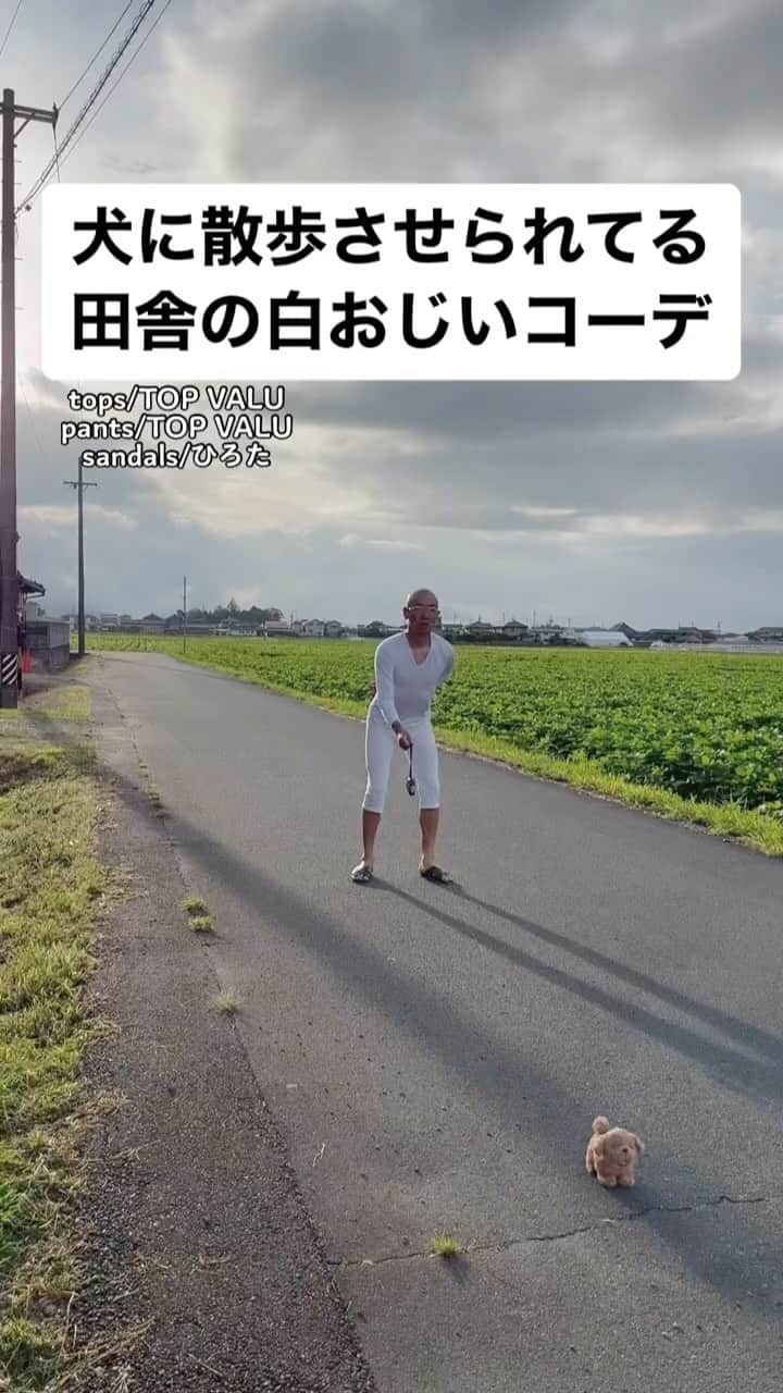 中西亮太のインスタグラム：「ロコモア飲んでっから大丈夫や！ #あるある #モノマネ #田舎 #田舎暮らし #田舎の風景 #散歩 #おじいちゃん #おじいちゃん犬 #犬 #犬スタグラム #犬のいる暮らし」