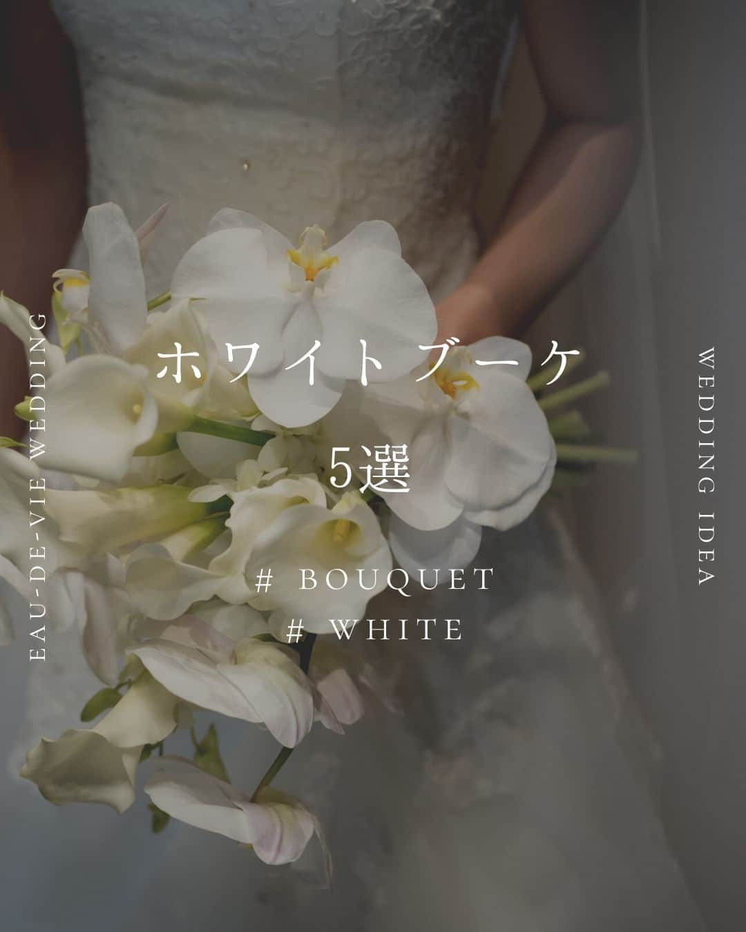 オードヴィーウェディング【名古屋・結婚式場】 のインスタグラム