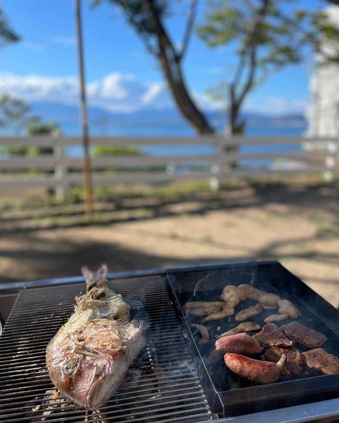 田村友里さんのインスタグラム写真 - (田村友里Instagram)「. 入社当時から、会話の内容もテンポ感も、 「最高におもしろ〜」と思っていた同期。 彼女の抜群のセンスが、「イマナマ！」でディレクターとして存分に発揮されていて誇らし嬉し💪 一緒に仕事ができて、一緒に遊べて、とても楽しいです☺️ #同期 #せっちゃん #リディスカバリーチャンネル」9月16日 19時27分 - yuri_tamura0894