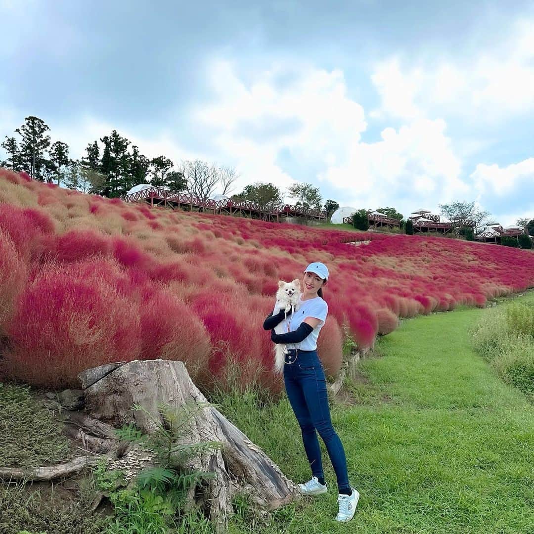 のインスタグラム：「早く涼しくなってほしいね🥺  ･:*+..:+  月水金　18時は オンリーファンズアップの日❤️  昨日は見てくれたかな🥰？  https://onlyfans.com/reikokobayakawa  ファンティアもアップしてるよ💋  https://fantia.jp/posts/1808051  見てね〜😘  #小早川怜子 #reikokobayakawa  #カプセルエージェンシー  坂道だと足長に見えるのかな😆😍ぐふふ🤭」