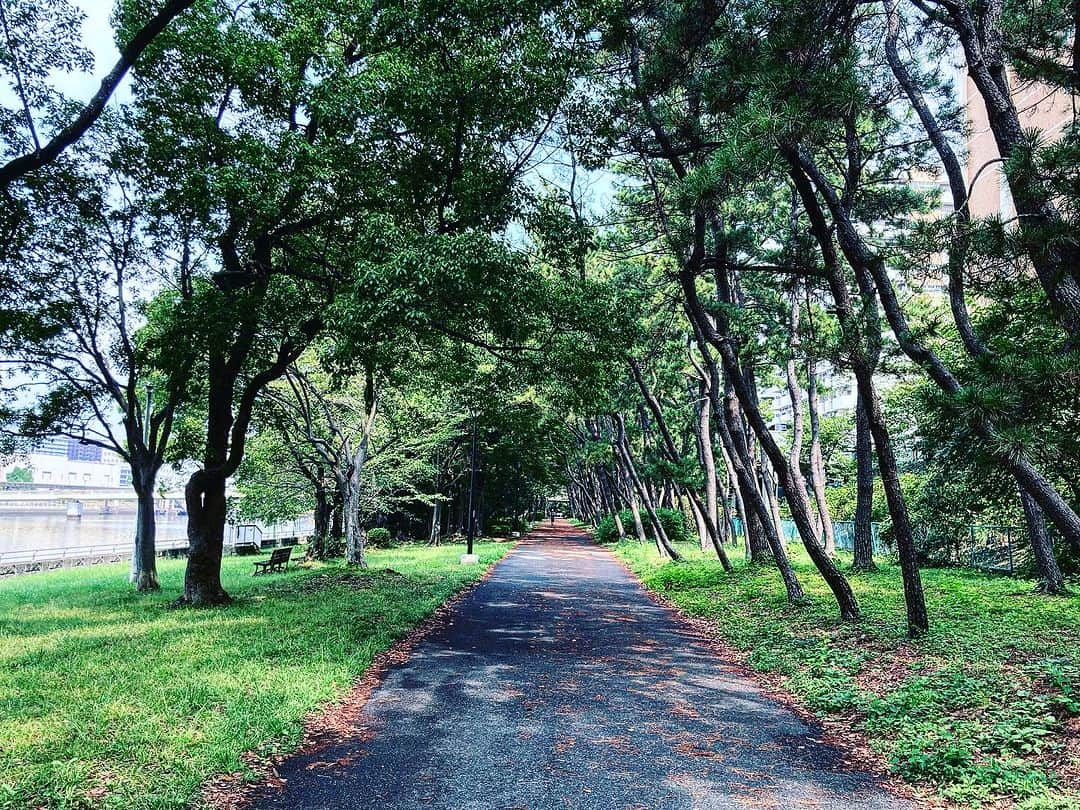 宇田川大輔さんのインスタグラム写真 - (宇田川大輔Instagram)「本日の朝ラン #朝ラン #running #城南エリア」9月16日 11時01分 - udagawadaisuke