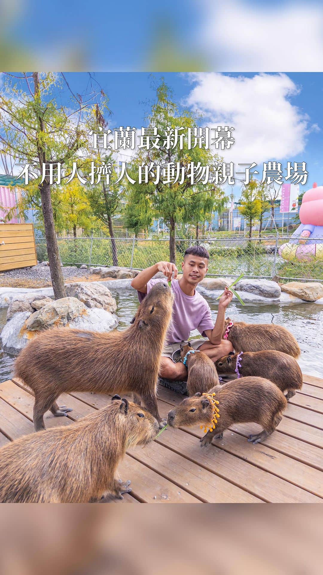 樂のインスタグラム