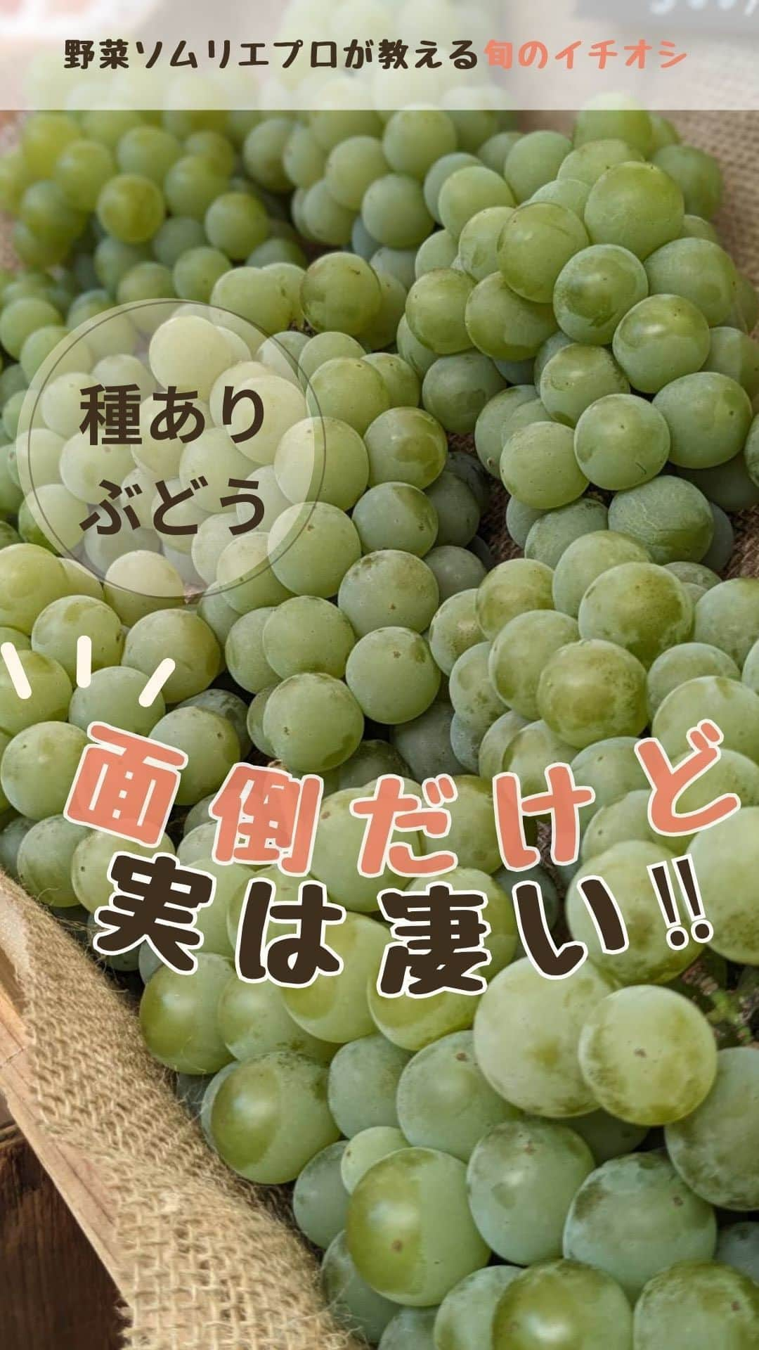 菅野広恵のインスタグラム：「種ありぶどう🍇我が家が好きな理由は  ☑︎自然本来の作り方をしている事 ☞ぶどうの種を無くす作業は、薬に漬け込み種を無くします。種なしも楽で好きですが 子供にも自然派ぶどうも食べさせたい♡  ☑︎種ありだからこその味わい コクと旨みが種がある事により 1粒に凝縮されて 美味しさが1粒1粒詰まっている所も大好き♡  この時期旬の 「ナイアガラ」と言う品種のふどうは 白ワインの原料にもなるぶどうで なんと！糖度が20度前後もあるよ🤤❤️  ちなみに、糖度20度前後とは 桃よりもメロンよりもなんと甘いよ🤤❤️  次回はナイアガラの美味しい食べ方も ご紹介したいなと思ってます🍇  #果物　#果物好きと繋がりたい  #種ありぶどう　#自然派　#野菜保存法　#旬の食材  #旬の果物  #食べる美容　#食べても太らない  #食べて痩せる  #美容食 #農業インスタグラム　#野菜ソムリエ　#野菜ソムリエプロ」