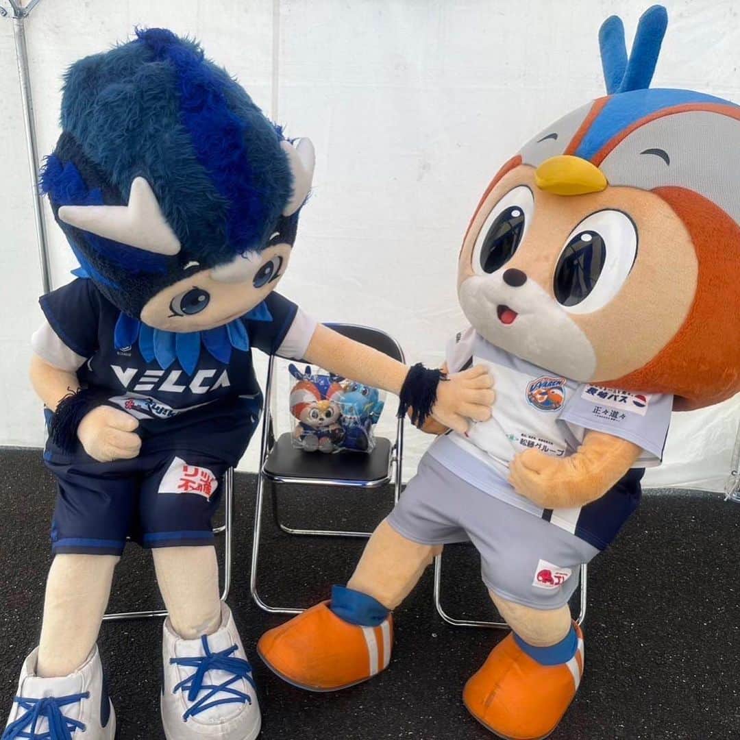 ヴィヴィくんのインスタグラム
