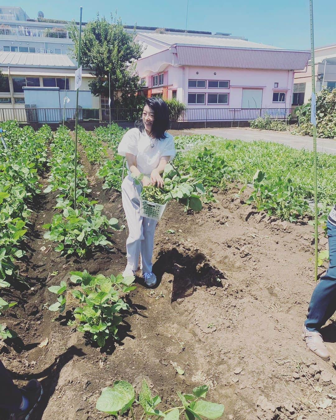 生野陽子さんのインスタグラム写真 - (生野陽子Instagram)「🚶‍♀️ 今日は仙川をおさんぽ。  収穫したお野菜は新鮮で とても美味しかったです！  暑さで農作物の管理も大変ですね、、、  #仙川」9月16日 14時16分 - yoko_shono