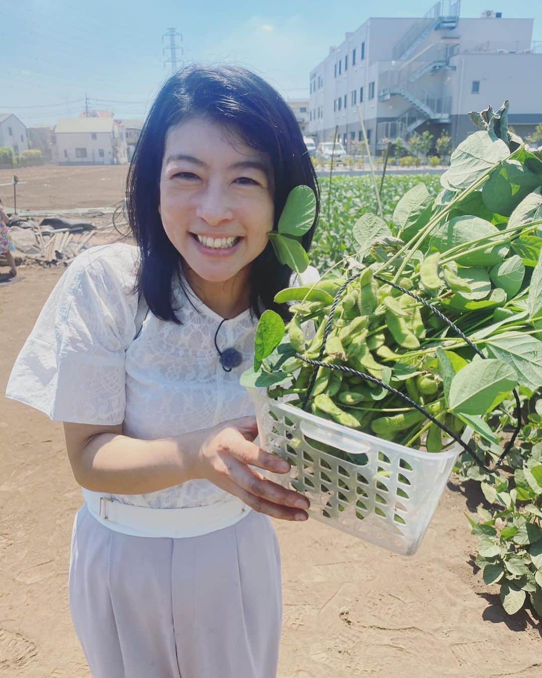 生野陽子のインスタグラム：「🚶‍♀️ 今日は仙川をおさんぽ。  収穫したお野菜は新鮮で とても美味しかったです！  暑さで農作物の管理も大変ですね、、、  #仙川」