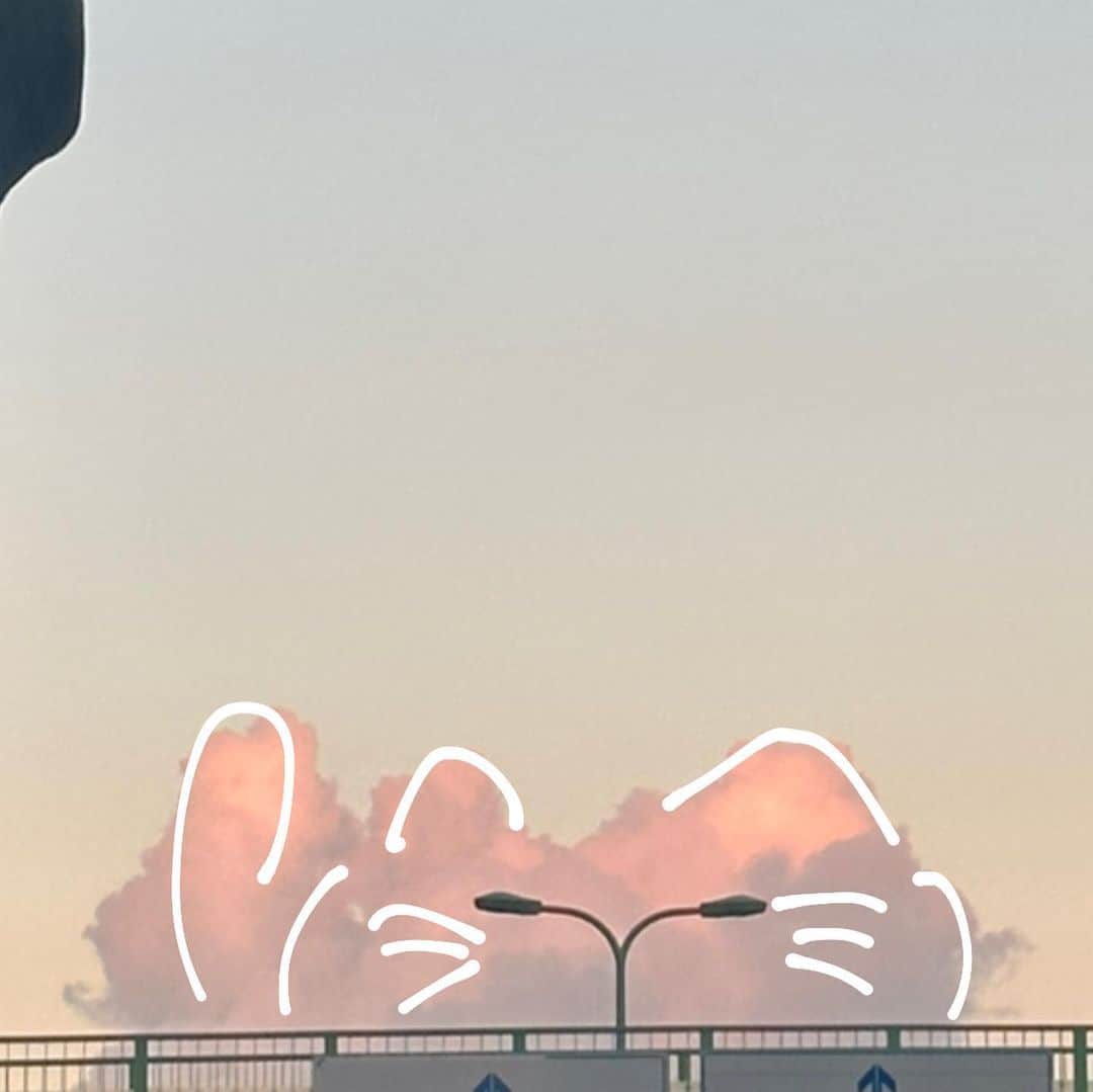 永井愛実さんのインスタグラム写真 - (永井愛実Instagram)「雲に猫 大きい魚と猫」9月16日 14時22分 - nagai_manami_0921